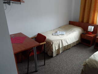 Проживание в семье Hotelik Gold Рашин Двухместный номер с 1 кроватью или 2 отдельными кроватями-4